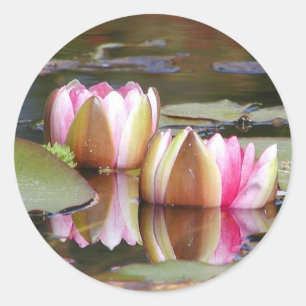 Water Lillies Classic Round Sticker