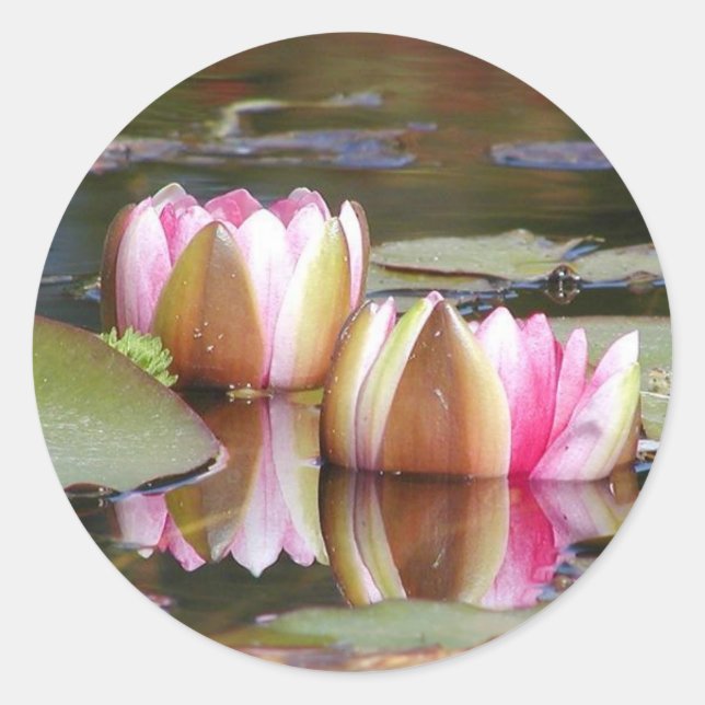 Water Lillies Classic Round Sticker (Front)
