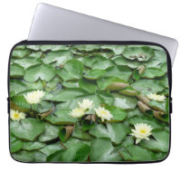 Water Lillies