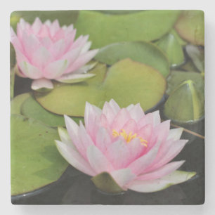 Water Lillies Stone Coaster