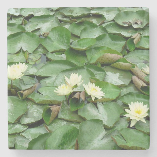 Water Lillies Stone Coaster (Front)