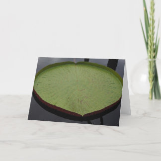 Water Lilly Leaf Note Card
