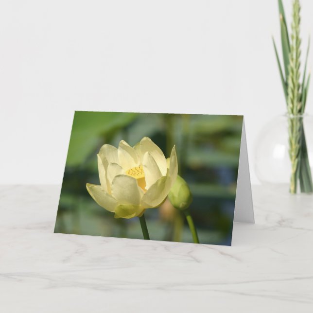 Water Lilly Lotus Card (Front)