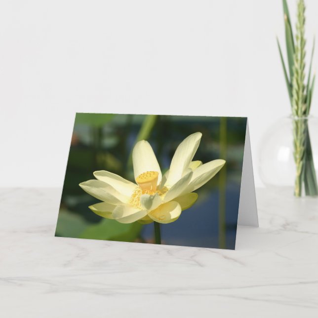 Water Lilly Lotus Card (Front)