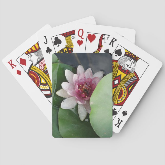 Water Lilly, Lotus Photo Classic Playing Cards (Back)