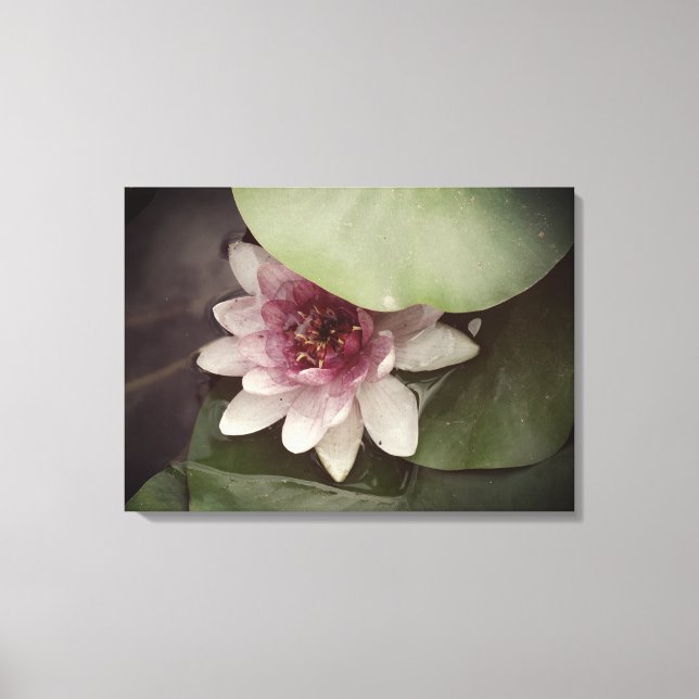 Water Lilly, Lotus Photography  Wall Art (Front)