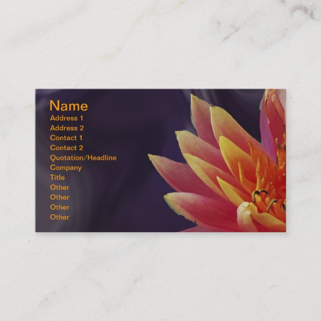 Water Lilly on Purple Background Business Card (Front)