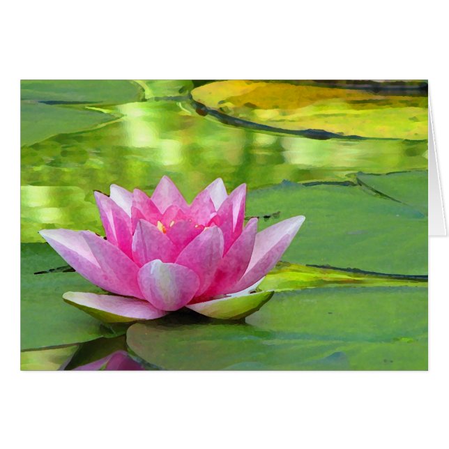 Water Lily (Front Horizontal)