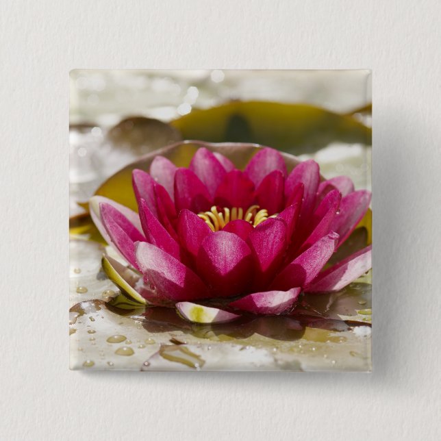 Water lily 15 cm square badge (Front)