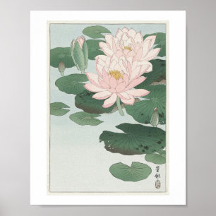 Water Lily (1920 - 1930) by Ohara Koson 1877-1945 Poster