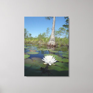Water Lily 2 Canvas Print