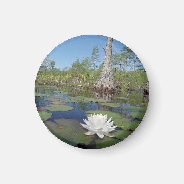 Water Lily 2 Magnet (Front)