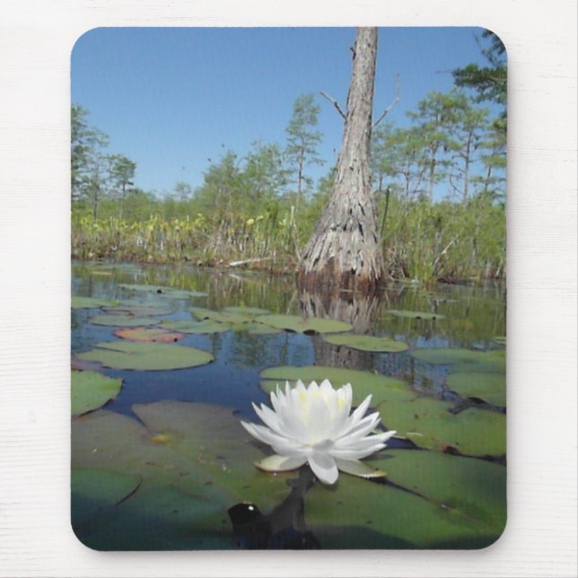 Water Lily 2 Mouse Mat (Front)