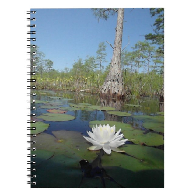 Water Lily 2 Notebook (Front)