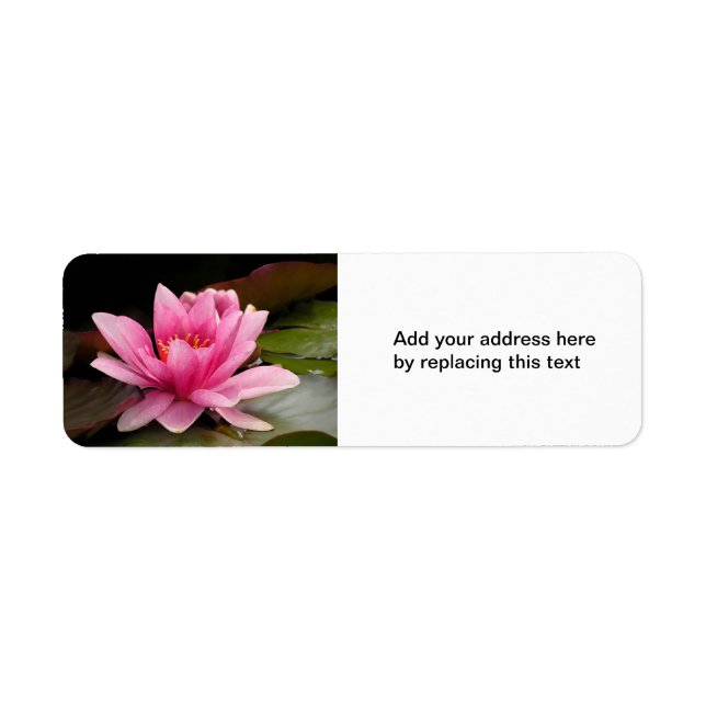 Water Lily Address Label (Front)