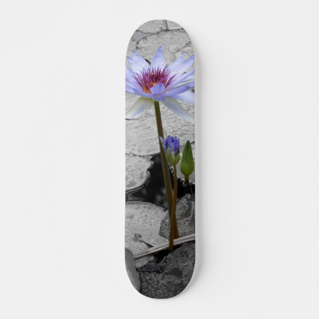 Water Lily Beauty Skateboard (Front)
