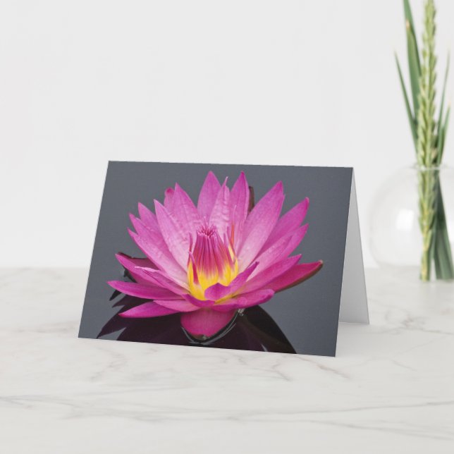 Water Lily Birthday Card (Front)