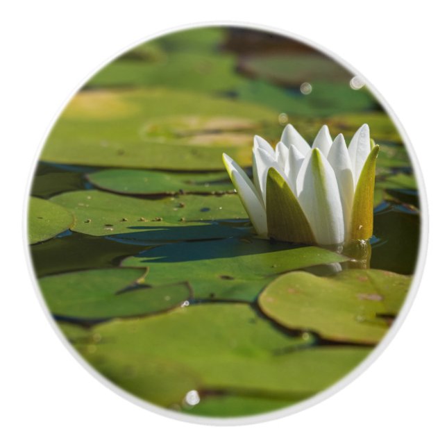 Water Lily Blossom Ceramic Knob (Front)