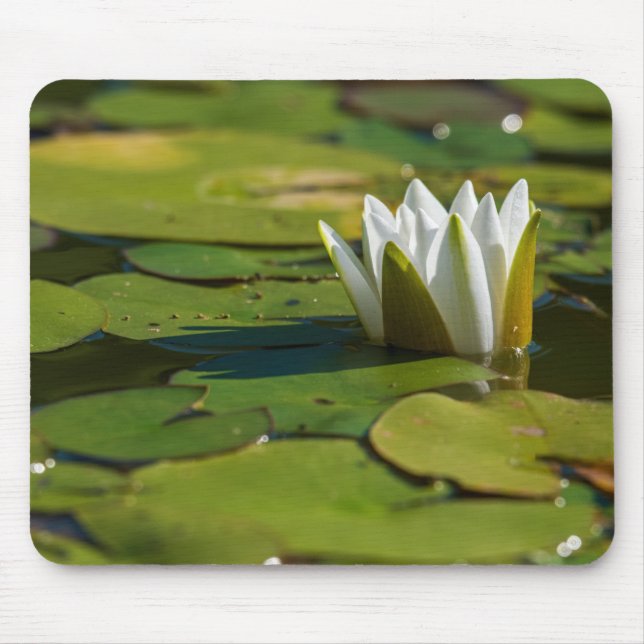 Water Lily Blossom Mouse Mat (Front)