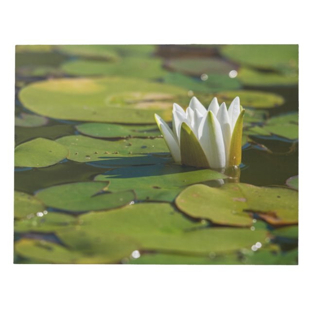 Water Lily Blossom Notepad (Front)