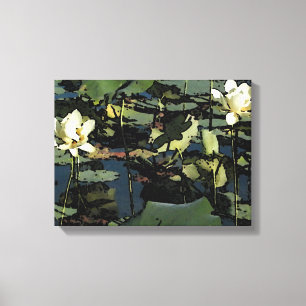 Water Lily Blossoms Canvas Print