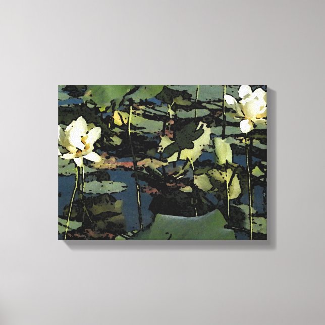 Water Lily Blossoms Canvas Print (Front)
