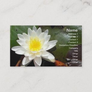 Water Lily Business Card