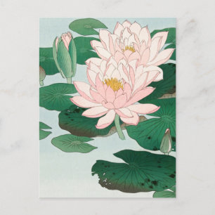 Water Lily by Ohara Koson, Floral Japanese Art Postcard