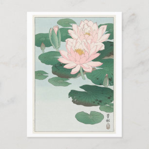 Water Lily by Ohara Koson Postcard