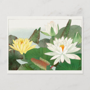 Water lily by Tanigami Konan Postcard