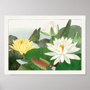 Water lily by Tanigami Konan Poster