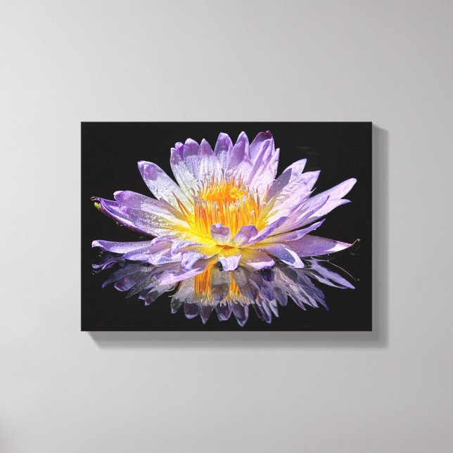 Water Lily Canvas Print (Front)