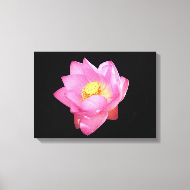 Water Lily Canvas Print (Front)