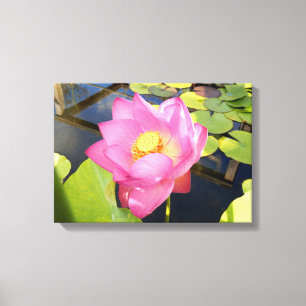 Water Lily Canvas Print