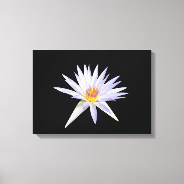 Water Lily Canvas Print (Front)