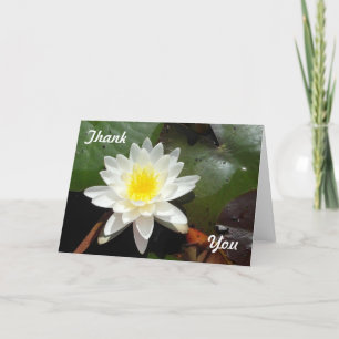 Water Lily Card