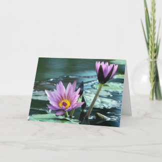 water lily  card