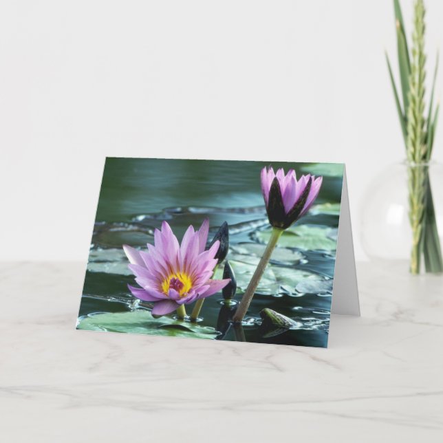 water lily  card (Front)