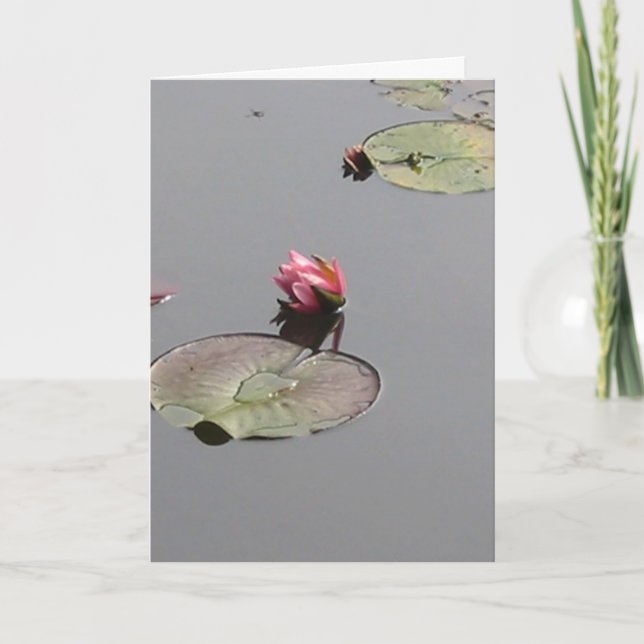 Water Lily Card (Front)