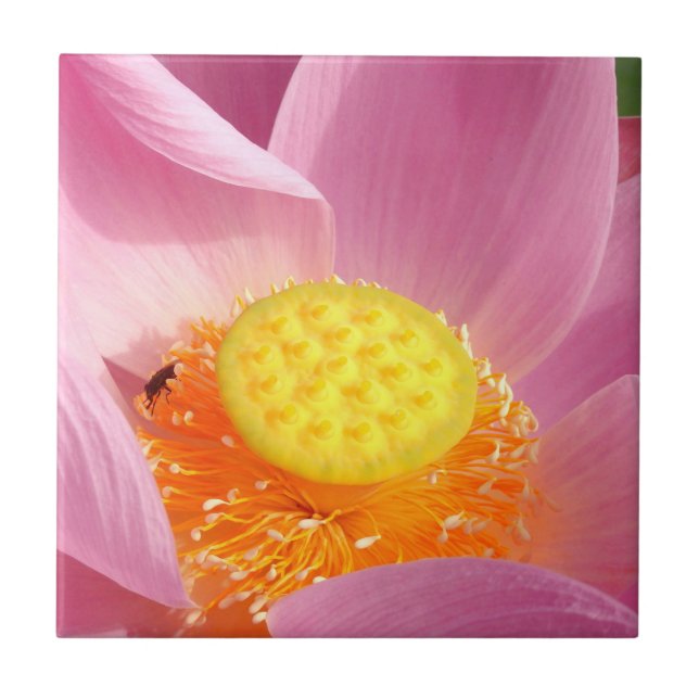 Water Lily Ceramic Tile (Front)