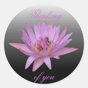 Water Lily Classic Round Sticker