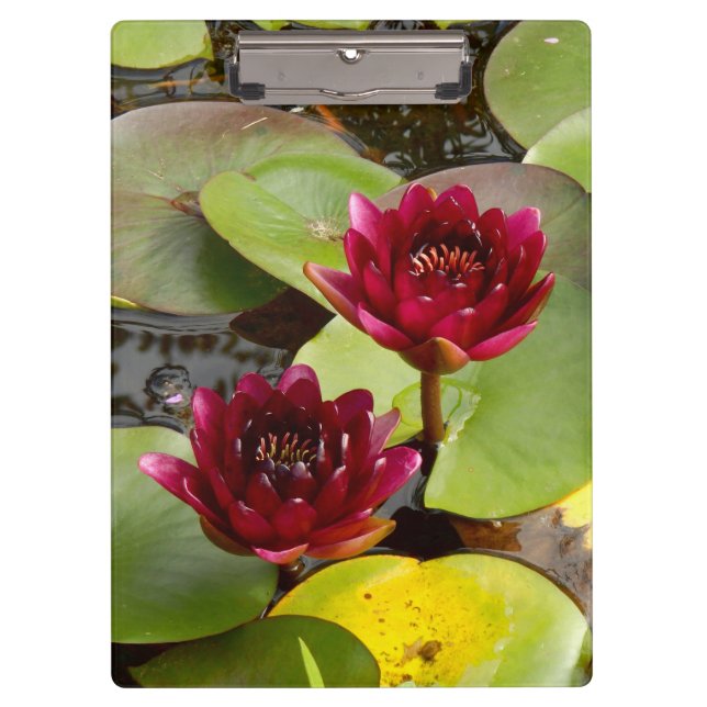 Water Lily Clipboard (Front)