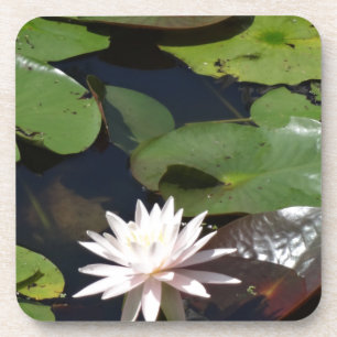 Water Lily Coaster