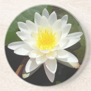 Water Lily Coaster