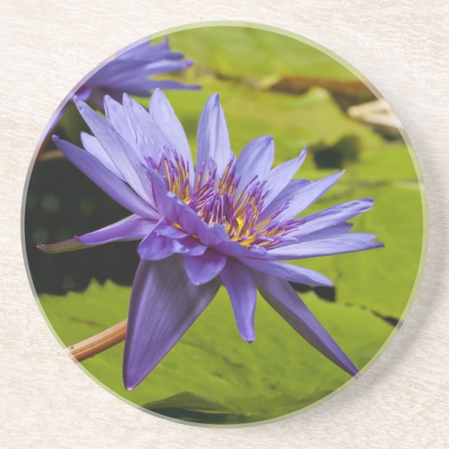 Water Lily Coaster (Front)