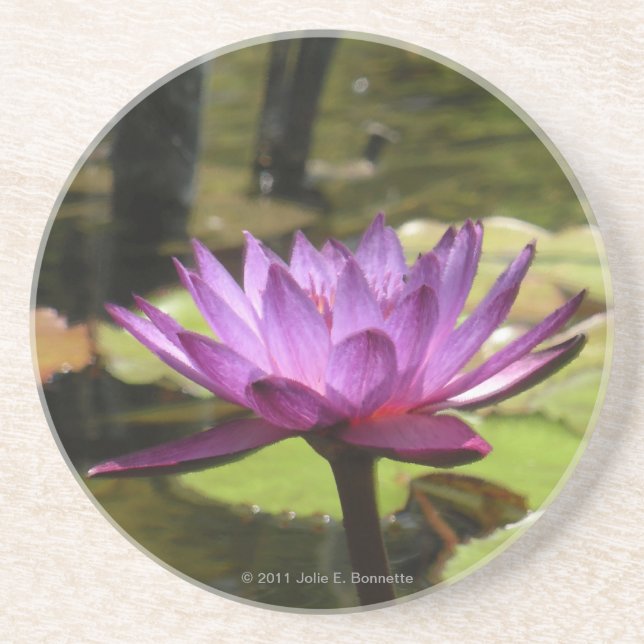 Water Lily Coaster (Front)