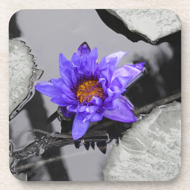 Water Lily Coaster (Front)