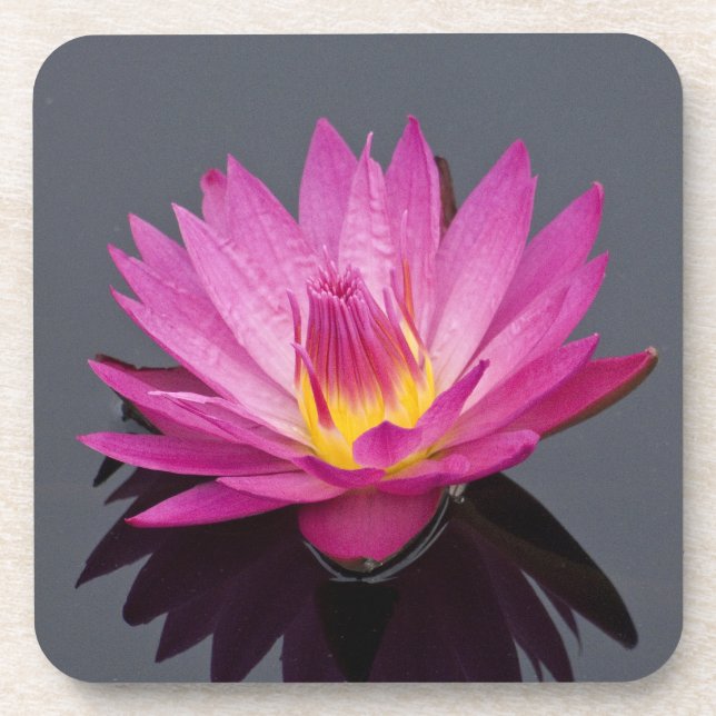 Water LIly Cork coaster (Front)