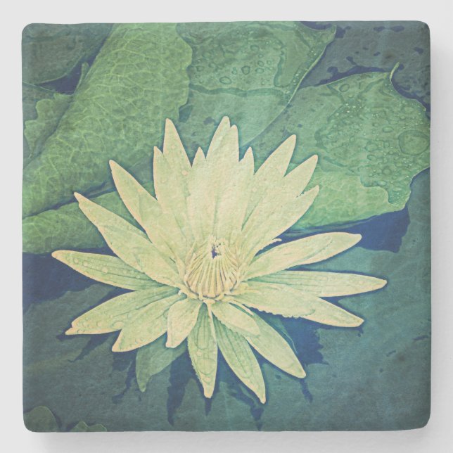 Water Lily Flower Green Stone Coaster (Front)