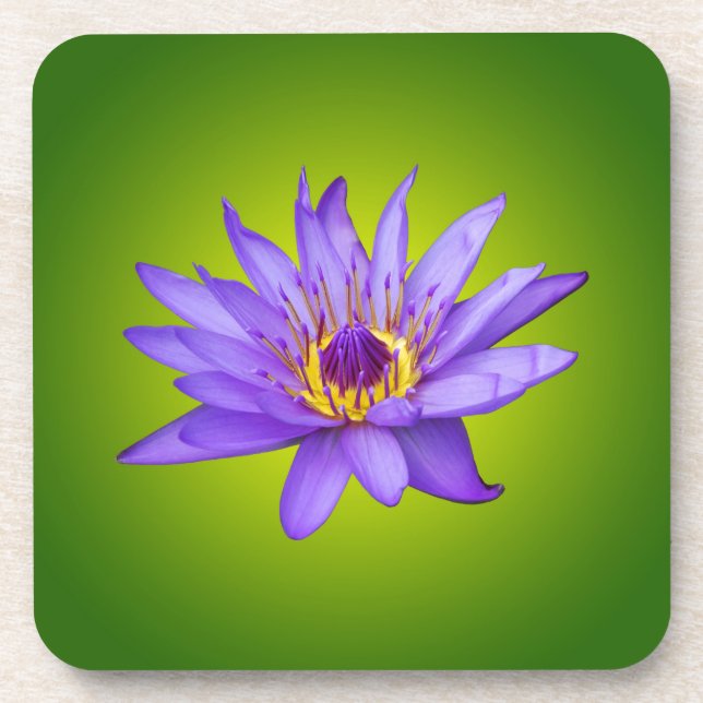 Water Lily Flower Pond Aquatic Purple Water Bloom Coaster (Front)